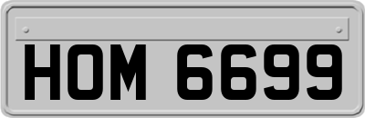 HOM6699