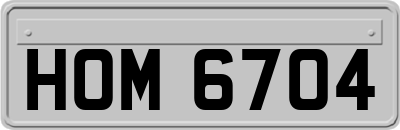 HOM6704