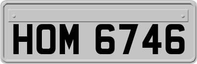 HOM6746