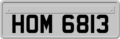 HOM6813