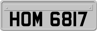 HOM6817