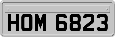 HOM6823