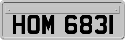 HOM6831