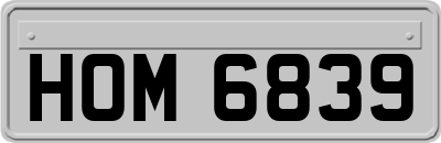 HOM6839