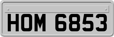HOM6853