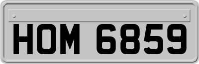 HOM6859