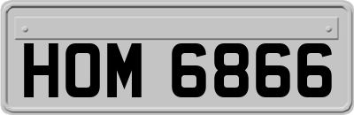 HOM6866