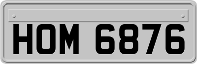 HOM6876