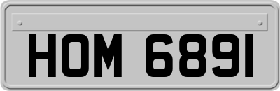 HOM6891