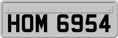 HOM6954