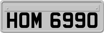 HOM6990