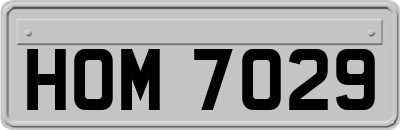 HOM7029