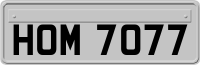 HOM7077