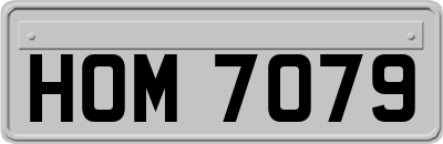 HOM7079