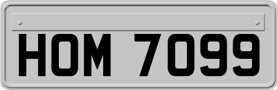 HOM7099