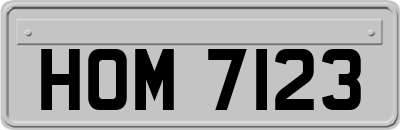 HOM7123