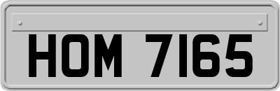 HOM7165