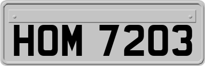 HOM7203