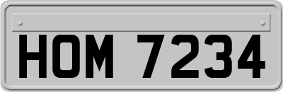 HOM7234