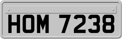 HOM7238