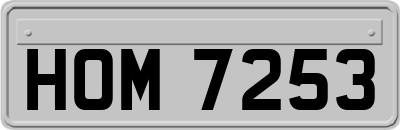 HOM7253