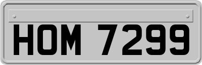 HOM7299