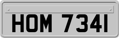 HOM7341