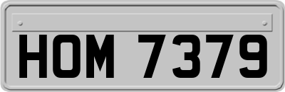 HOM7379