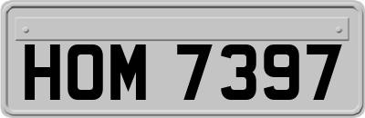 HOM7397