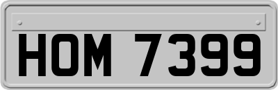 HOM7399