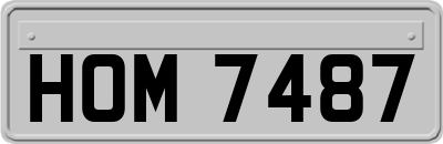 HOM7487