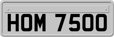 HOM7500