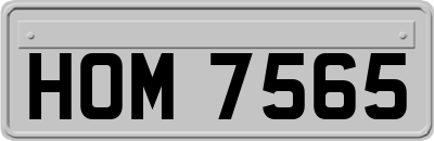 HOM7565