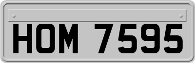 HOM7595