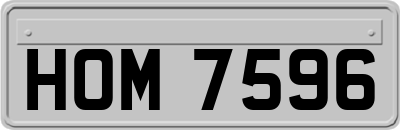 HOM7596