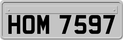 HOM7597