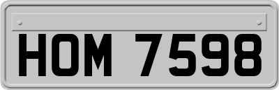 HOM7598