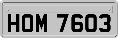 HOM7603