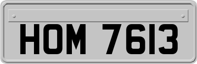 HOM7613