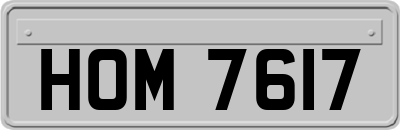 HOM7617