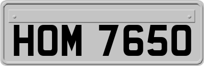 HOM7650