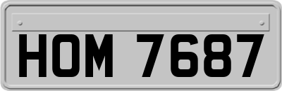 HOM7687