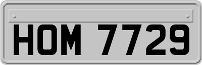 HOM7729
