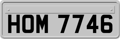 HOM7746