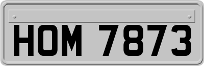 HOM7873