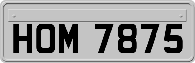 HOM7875