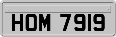 HOM7919