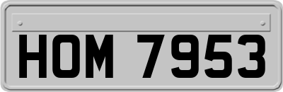 HOM7953