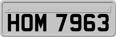 HOM7963