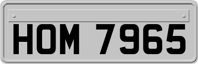 HOM7965